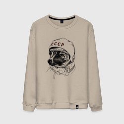 Мужской свитшот Пёсик астронавт - ссср