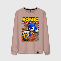 Мужской свитшот Соник ёж