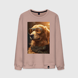 Мужской свитшот Золотистый ретривер в золотых очках