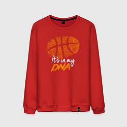 Свитшот хлопковый мужской Баскетбольный ДНК, цвет: красный