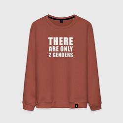 Свитшот хлопковый мужской There are only 2 genders, цвет: кирпичный