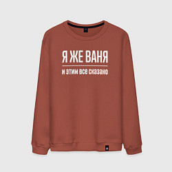 Свитшот хлопковый мужской Я же Ваня и этим всё сказано, цвет: кирпичный
