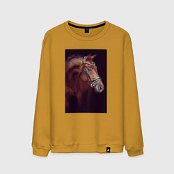 Свитшот хлопковый мужской Лошадь во всей красе, цвет: горчичный