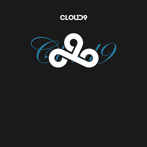 Мужской свитшот Cloud9 art / Черный – фото 3