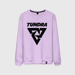 Свитшот хлопковый мужской Tundra esports logo, цвет: лаванда