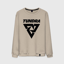 Свитшот хлопковый мужской Tundra esports logo, цвет: миндальный