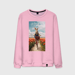 Свитшот хлопковый мужской Заяц едет на велосипеде, цвет: светло-розовый