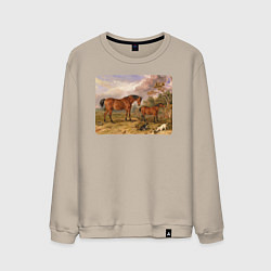 Мужской свитшот Две лошади и две собаки