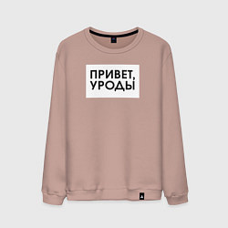 Свитшот хлопковый мужской Привет уроды, цвет: пыльно-розовый