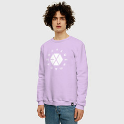 Свитшот хлопковый мужской Logo EXO, цвет: лаванда — фото 2