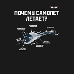 Свитшот хлопковый мужской Почему самолет летает?, цвет: черный — фото 2