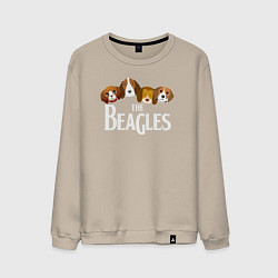 Мужской свитшот Бигли