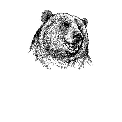 Мужской свитшот Медведь улыбается / Белый – фото 3