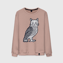 Мужской свитшот Кошка сова