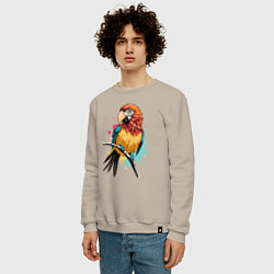 Свитшот хлопковый мужской Акварельный попугай, цвет: миндальный — фото 2