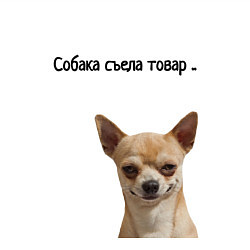 Свитшот хлопковый мужской Собака съела товар, цвет: белый — фото 2