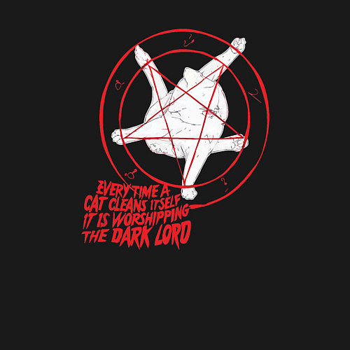 Мужской свитшот Смешная кошачья пентаграмма / Черный – фото 3