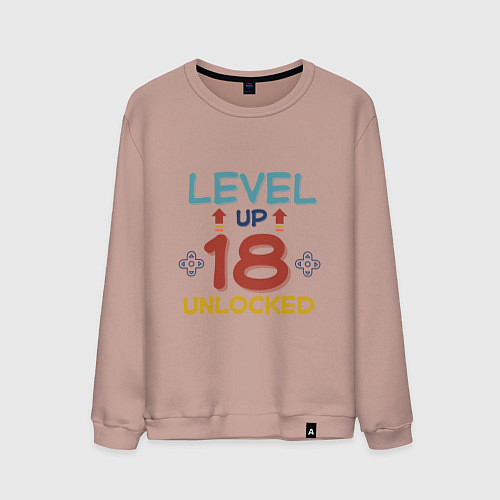 Мужской свитшот 18 уровень разблокирован / Пыльно-розовый – фото 1