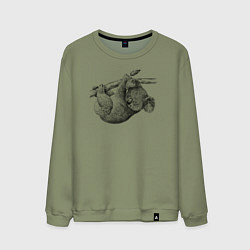 Свитшот хлопковый мужской Коала висит на ветке, цвет: авокадо