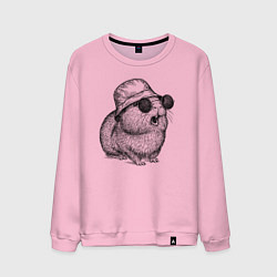 Свитшот хлопковый мужской Морская свинка в панаме и очках, цвет: светло-розовый