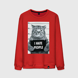 Мужской свитшот Кот преступник уголовник с табличкой