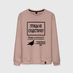 Свитшот хлопковый мужской Птицы не существуют, цвет: пыльно-розовый
