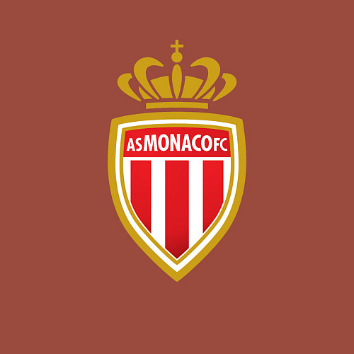 Мужской свитшот Monaco fc sport / Кирпичный – фото 3