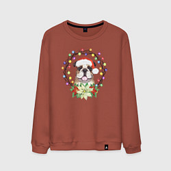 Свитшот хлопковый мужской Новогодний пес в гирляндах, цвет: кирпичный