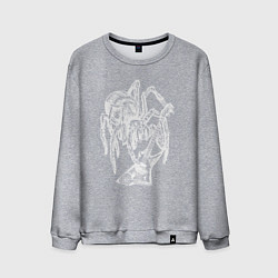 Мужской свитшот Spider rock