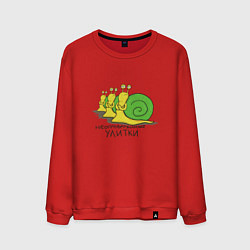 Мужской свитшот Неопровержимые улитки