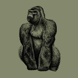 Свитшот хлопковый мужской Горилла штрихами, цвет: авокадо — фото 2