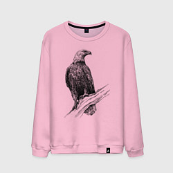 Свитшот хлопковый мужской Орёл на ветке, цвет: светло-розовый
