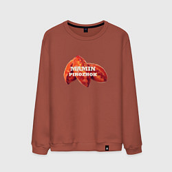 Свитшот хлопковый мужской Мамин пирожок, цвет: кирпичный