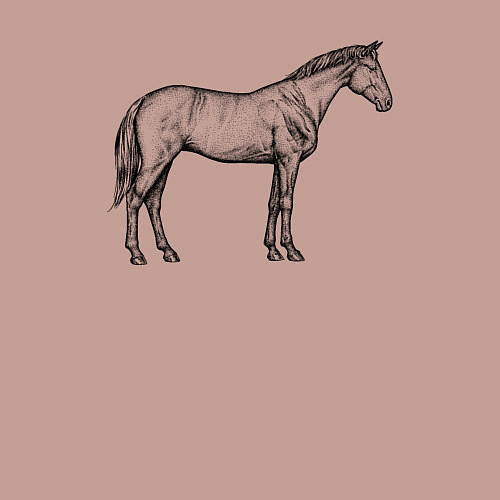 Мужской свитшот Лошадь стоит в профиль / Пыльно-розовый – фото 3