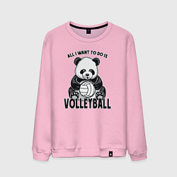 Мужской свитшот Panda volleyball