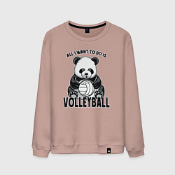 Свитшот хлопковый мужской Panda volleyball, цвет: пыльно-розовый
