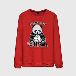 Мужской свитшот Panda volleyball