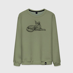 Мужской свитшот Фенек лежит