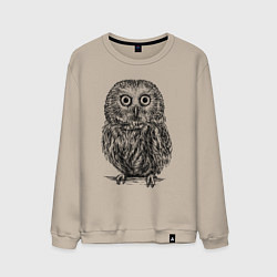 Мужской свитшот Сова гравюра