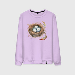 Свитшот хлопковый мужской Гнездо с яйцами, цвет: лаванда