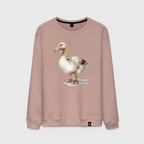 Мужской свитшот Серый гусь / Пыльно-розовый – фото 1