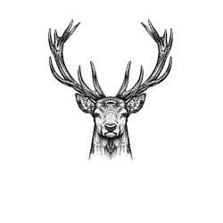 Свитшот хлопковый мужской Олень анфас, цвет: белый — фото 2