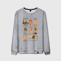 Мужской свитшот Капибары зимой