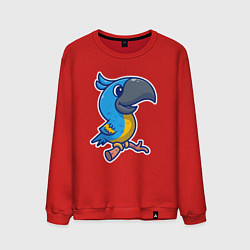 Мужской свитшот Попугайчик