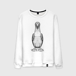 Мужской свитшот Олуша анфас