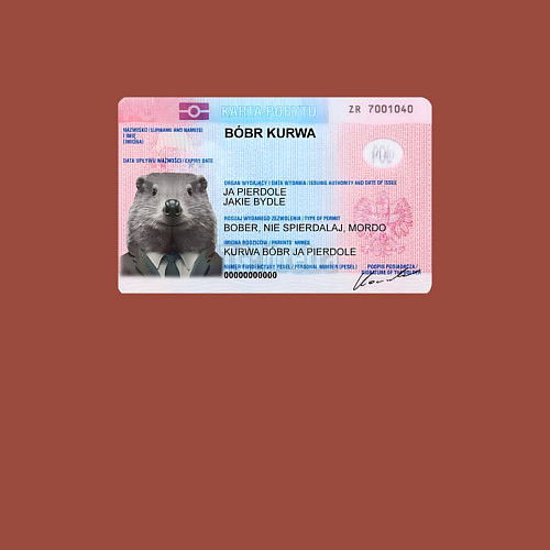 Мужской свитшот Bobr kurwa passport / Кирпичный – фото 3