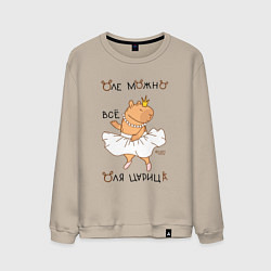 Мужской свитшот Капибара балерина: Оля царица