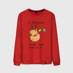 Мужской свитшот Капибара: мотаю нервы