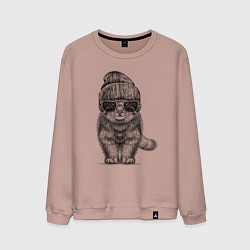 Мужской свитшот Котенок манул хипстер