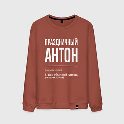Свитшот хлопковый мужской Праздничный Антон, цвет: кирпичный